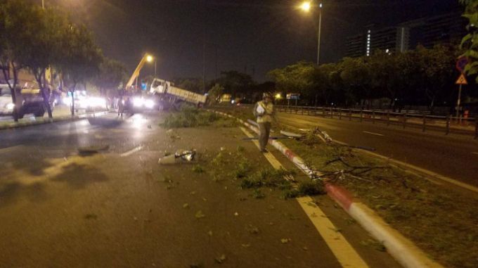 Phong tỏa một phần đường trên đại lộ Võ Văn Kiệt do xe ben tông ngã loạt cây xanh, trụ đèn