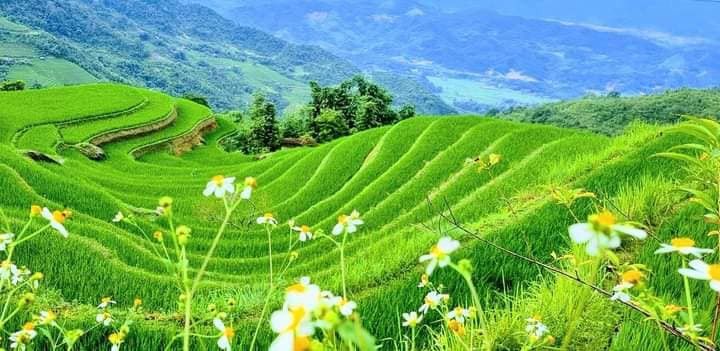 MỖI NGÀY 3 BẢN NHẠC DỄ NGHE ĐẲNG CẤP THẾ GIỚI- NGÀY THỨ 18