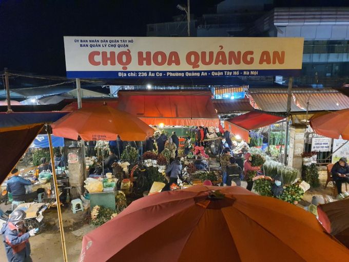 Chợ hoa Quảng An vẫn nhộn nhịp giữa đêm giá rét