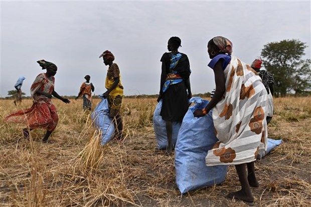 WFP cắt giảm viện trợ lương thực cho người dân Nam Sudan