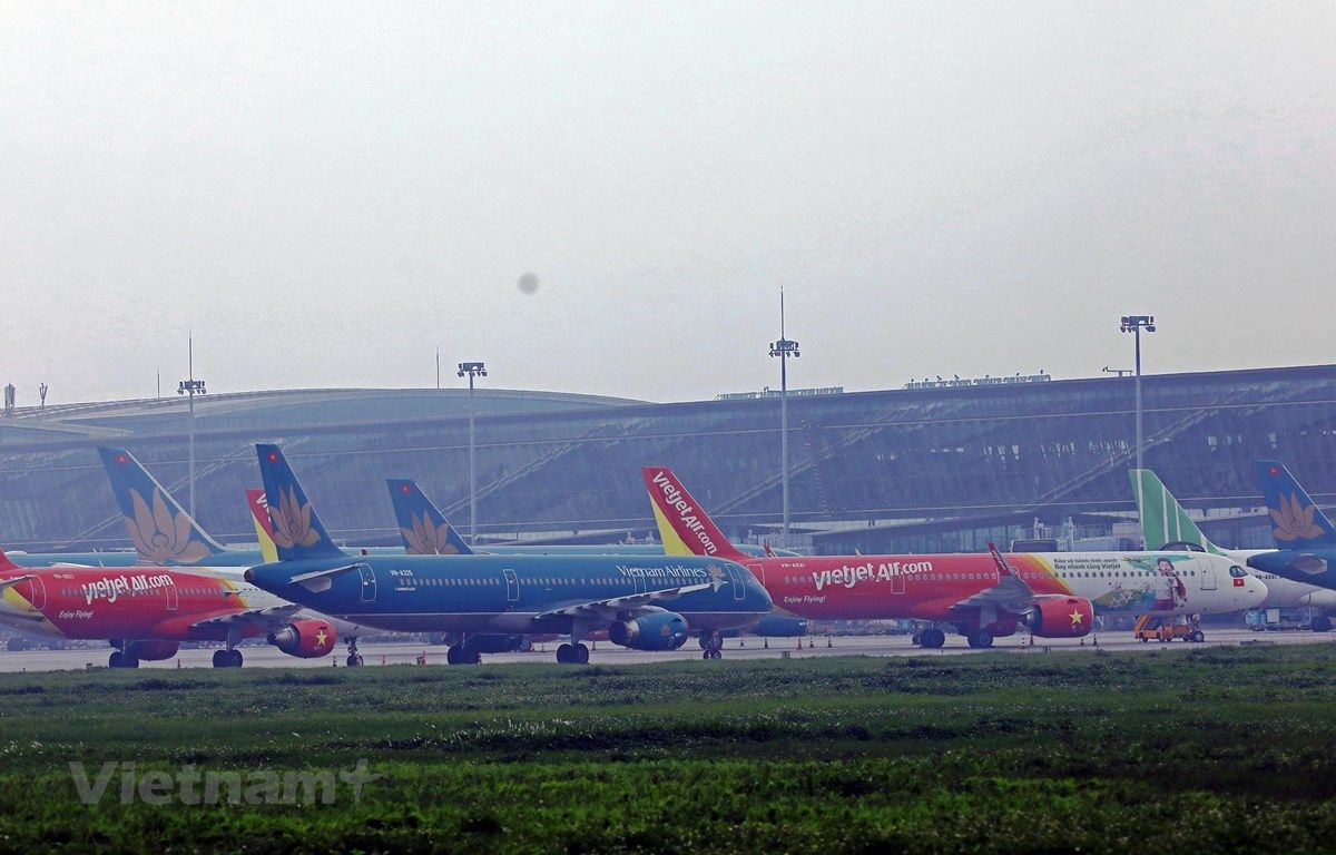 Hàng không Việt tiếp tục lỗ nặng, đối diện nguy cơ cạn kiệt dòng tiền