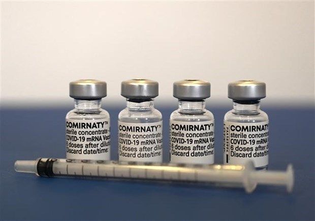 Hãng Pfizer thử nghiệm lâm sàng vaccine đặc hiệu chống Omicron