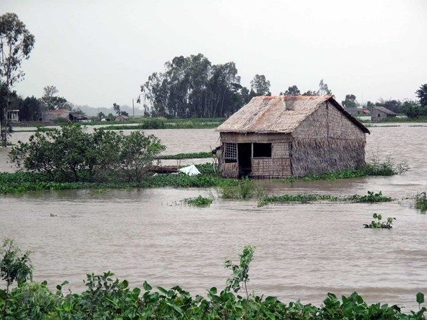 Đồng bằng sông Cửu Long: Mùa mưa năm 2022 dự báo đến sớm