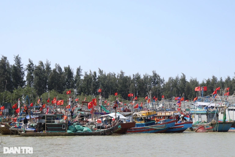 Giữa mùa biển lặng: Chủ tàu tại Thanh Hoá 