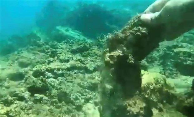 Thông tin san hô tại Hòn Sẹo chết hàng loạt: Chưa thể kiểm tra thực tế