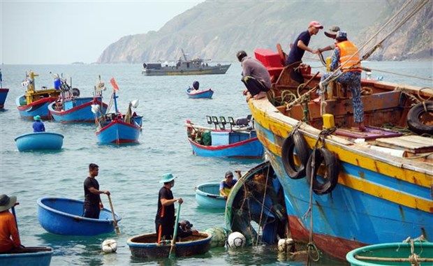 Hải quân bàn giao ngư dân và tàu cá Bình Định gặp nạn cho địa phương