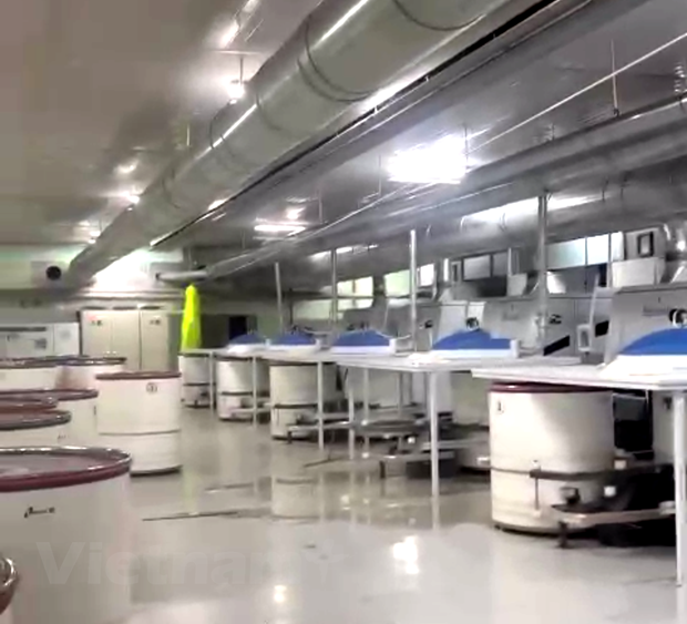 Vinatex thông tin vụ hỏa hoạn tại Nhà máy Sợi Vinatex Phú Cường