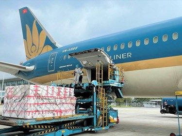 Vietnam Airlines nghiên cứu mở đường bay chuyên chở hàng hóa tới Mỹ