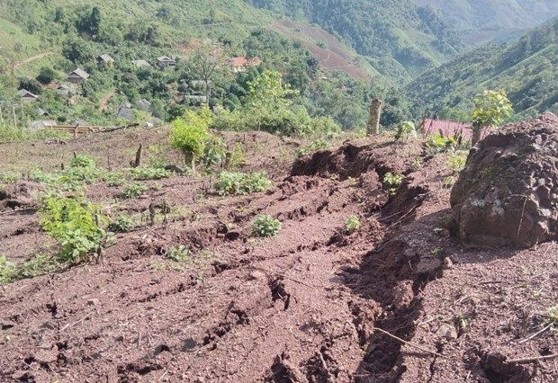 Điện Biên: Mưa to, gió lốc gây thiệt hại tại huyện biên giới Nậm Pồ