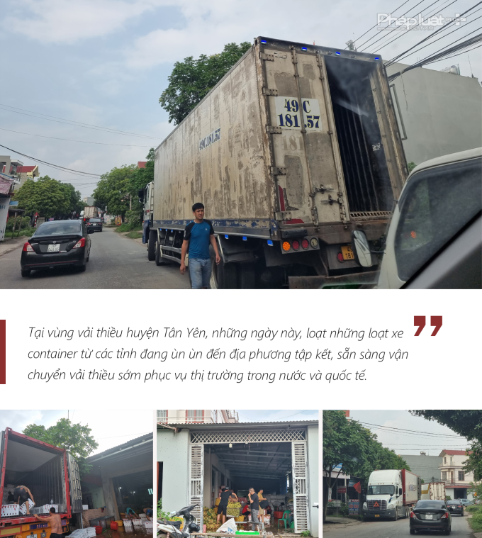 Vải sớm vào mùa, xe Container ùn tắc nhiều ngả đường ở Tân Yên