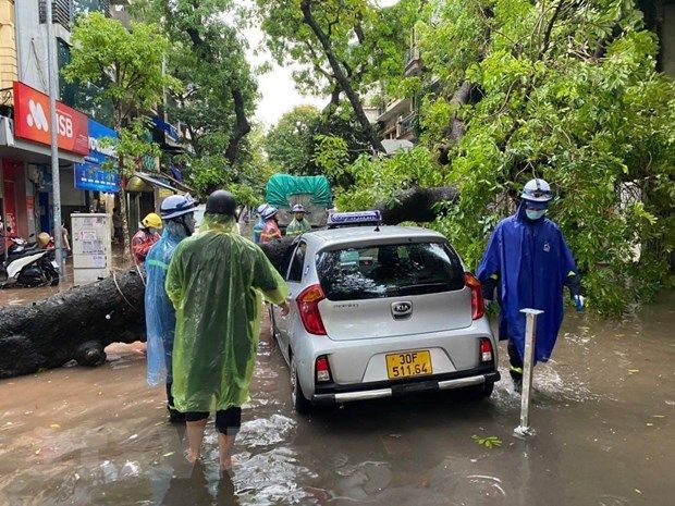 Hà Nội: Cây bật gốc, đè bẹp ôtô sau trận mưa lớn chiều 29/5