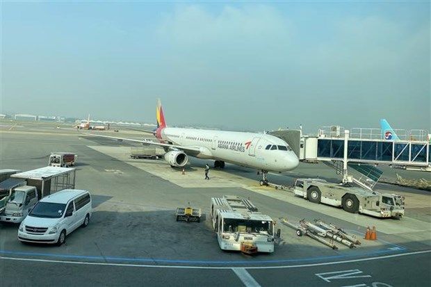 Asiana Airlines mở lại đường bay Incheon-Bắc Kinh sau hơn 2 năm