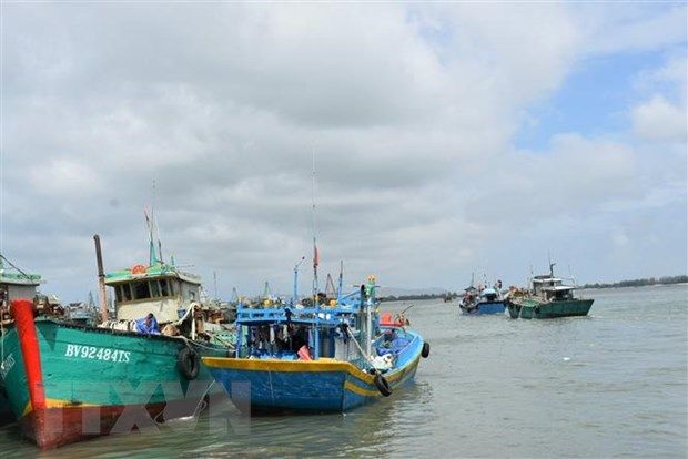 Bà Rịa-Vũng Tàu nâng cấp chất lượng hạ tầng phục vụ nghề cá