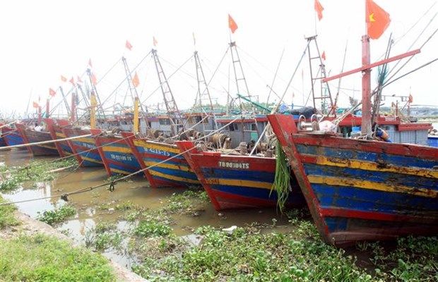 Phần lớn tàu thuyền ở Quảng Trị đã neo đậu an toàn để tránh bão số 4