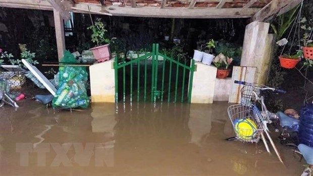 Nghệ An, Phú Yên khẩn trương triển khai các biện pháp ứng phó với bão