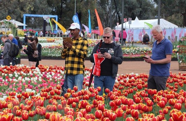 Hình ảnh lộng lẫy Lễ hội hoa mùa Xuân Floriade năm 2022 ở Australia