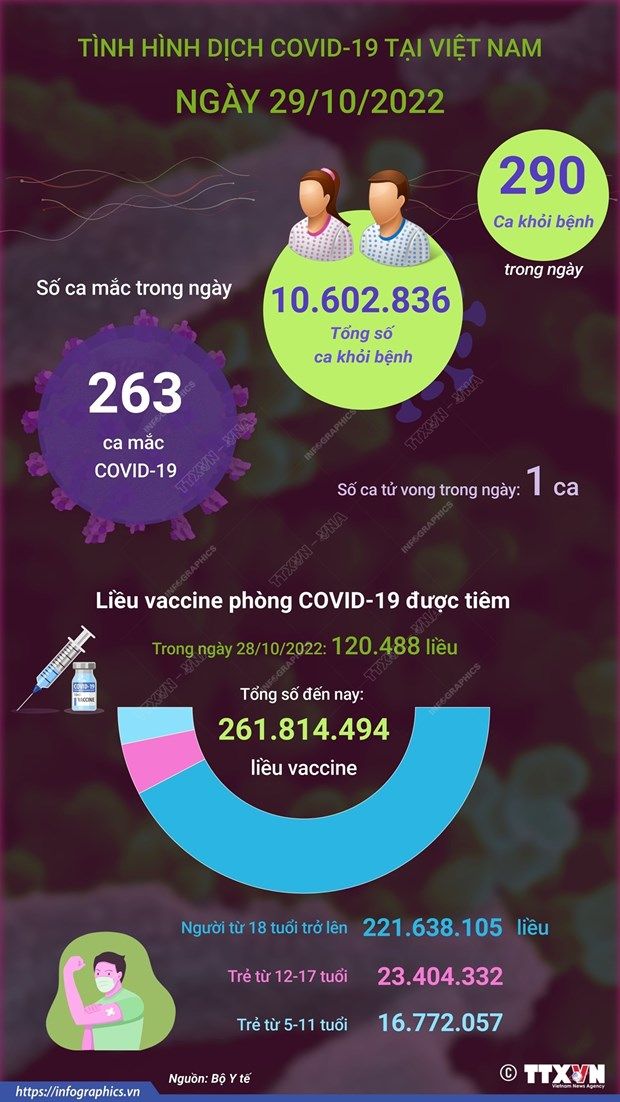 [Infographics] Ngày 29/10: Có 263 ca COVID-19 mới, 290 F0 khỏi bệnh