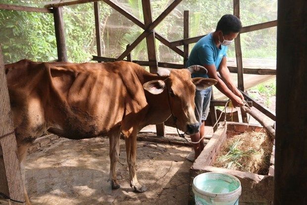 Kiên Giang: Ưu tiên phát triển toàn diện vùng dân tộc thiểu số