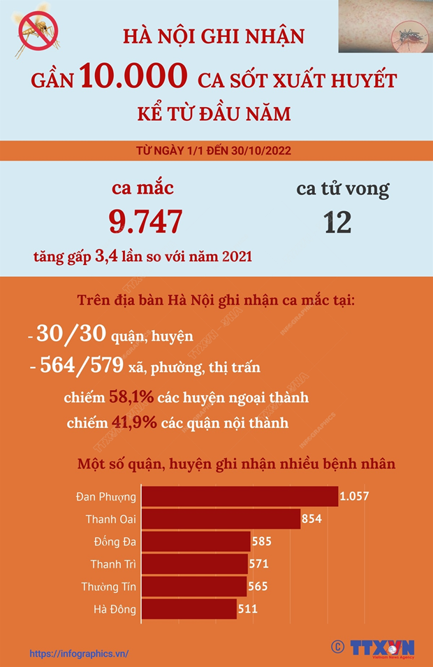 [Infographics] Hà Nội ghi nhận gần 10.000 ca mắc sốt xuất huyết