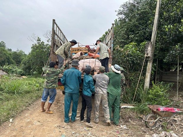 Đắk Lắk: Cưỡng chế giải phóng mặt bằng dự án hồ Krông Pách Thượng