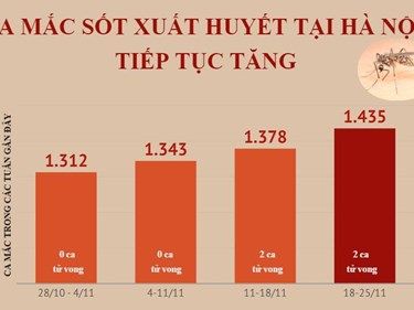 [Infographics] Ca mắc sốt xuất huyết tại Hà Nội tiếp tục tăng