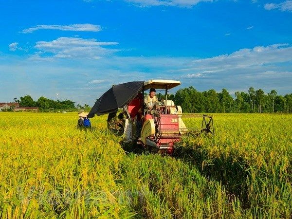 Trà Vinh dành hơn 390 tỷ đồng hỗ trợ tái cơ cấu nông nghiệp