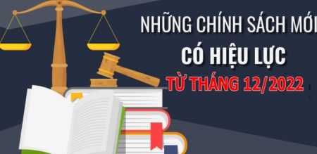 Bỏ chứng chỉ ngoại ngữ, tin học với một số viên chức