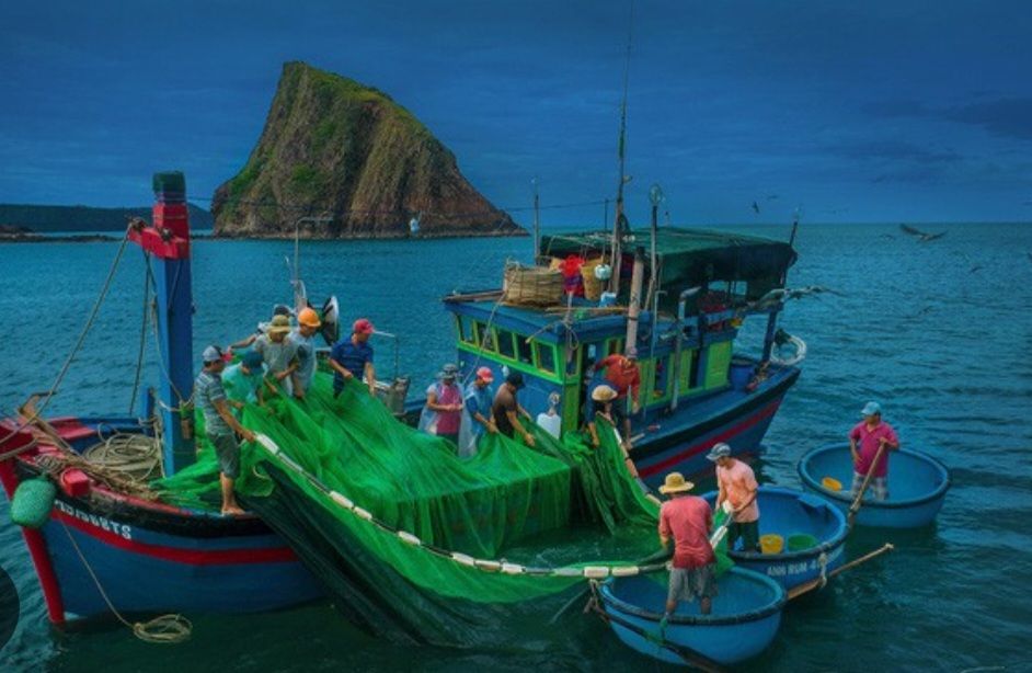 Bình Thuận: Phối hợp tìm kiếm tàu cá có 2 thuyền viên bị mất liên lạc trên biển