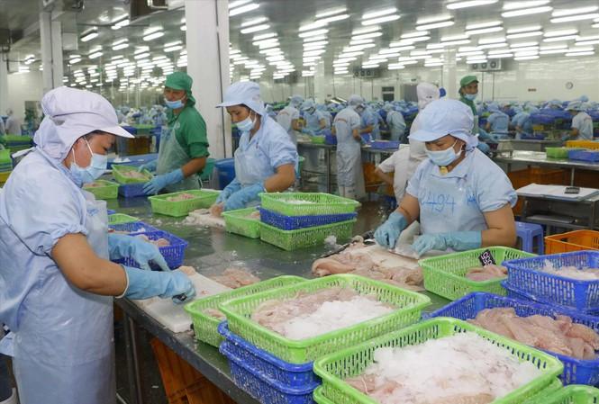 Cá tra Việt Nam chiếm ưu thế ở thị trường Trung Quốc