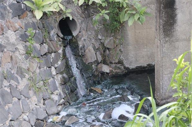 Nước thải không được xử lý, người dân thành phố Quảng Ngãi kêu cứu