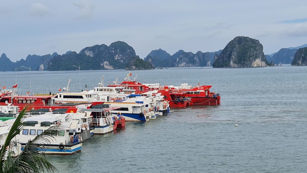 Quảng Ninh cấm biển do ảnh hưởng của bão số 1