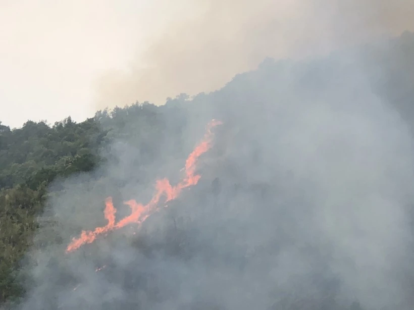 Khẩn trương dập tắt đám cháy rừng tại huyện Nậm Nhùn ở tỉnh Lai Châu