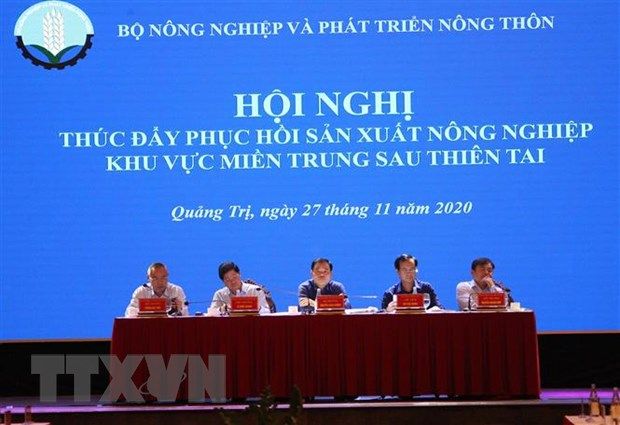 Dồn lực khôi phục sản xuất nông nghiệp sau bão lũ ở miền Trung