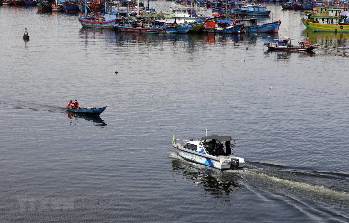 Dịch COVID-19: Đà Nẵng tiếp tục dừng hoạt động của cảng cá Thọ Quang