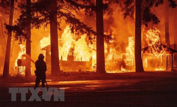 Cháy rừng gây thiệt hại nghiêm trọng tại Mỹ, Thổ Nhĩ Kỳ và Hy Lạp